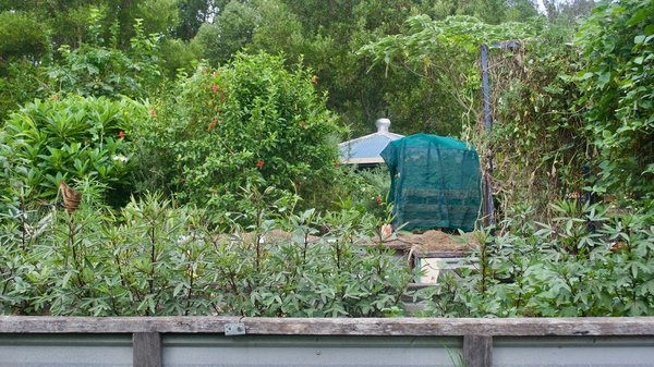 Comment créer un écosystème de permaculture dans un jardin urbain de petite taille ?
